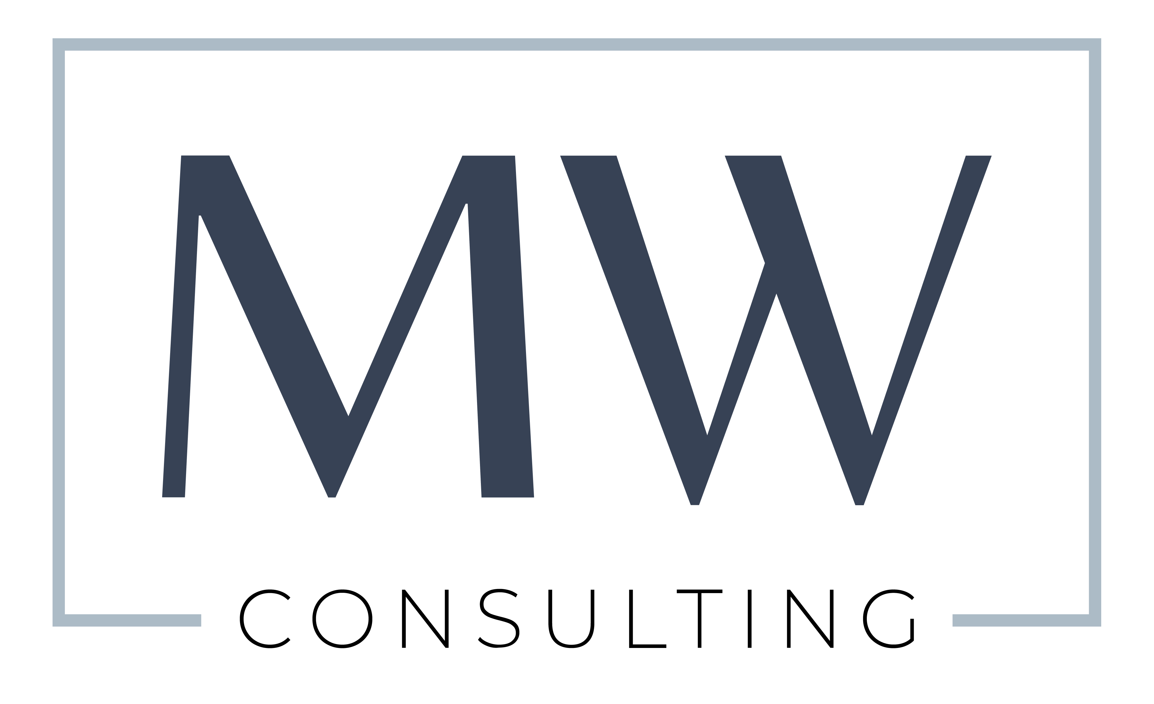 MW Consulting Logo Home George